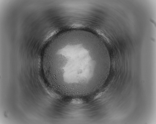 X0000091530591200708171222
