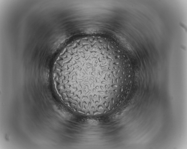 X0000091530592200708171222