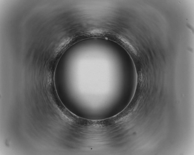 X0000091530593200708171222