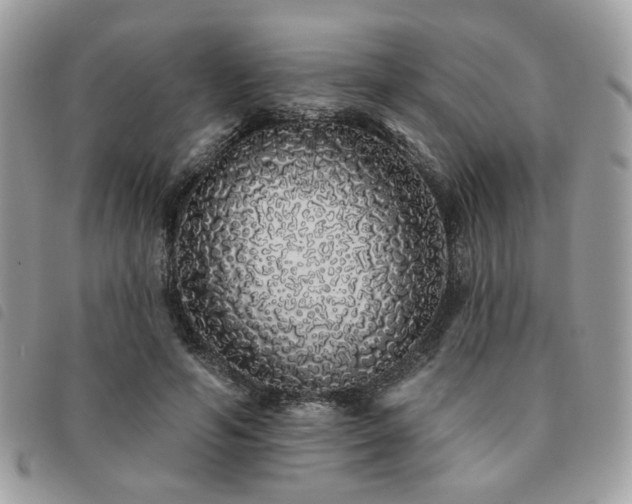X0000091530594200708171222