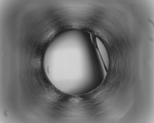 X0000091530595200708171222