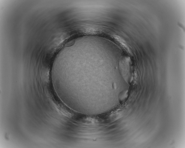 X0000091530596200708171222