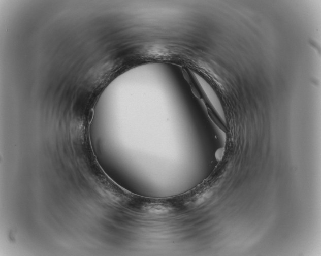 X0000091530597200708171222