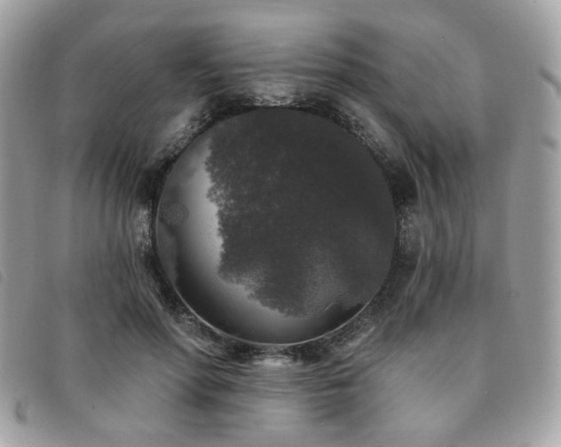 X0000091530598200708171222
