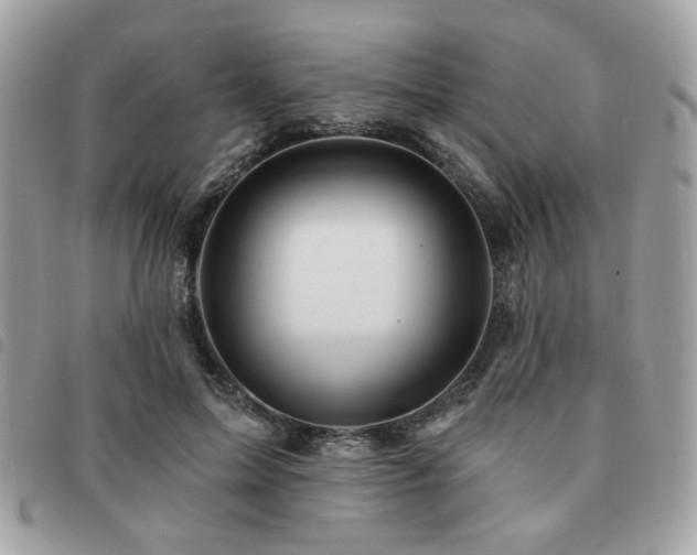 X0000091530599200708171222