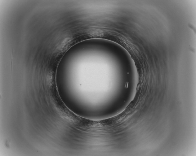 X0000091530600200708171222