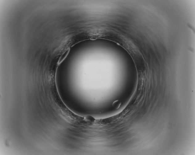 X0000091530601200708171222