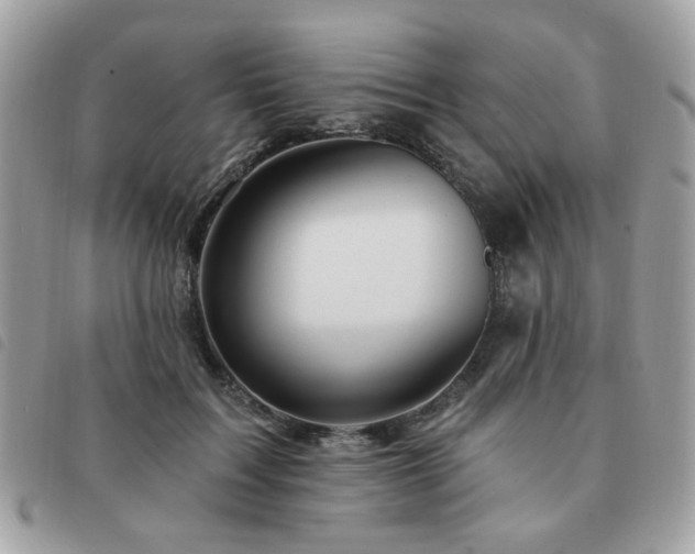 X0000091530603200708171222