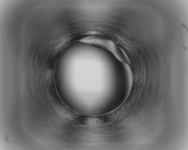 X0000091530605200708171222