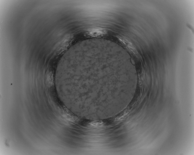 X0000091530606200708171222