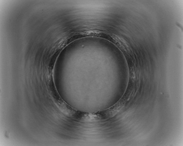 X0000091530607200708171222
