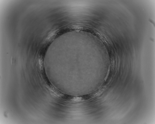 X0000091530609200708171222