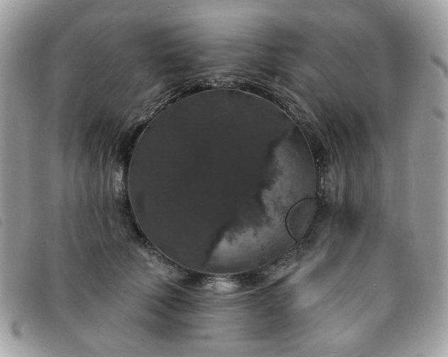 X0000091530610200708171222