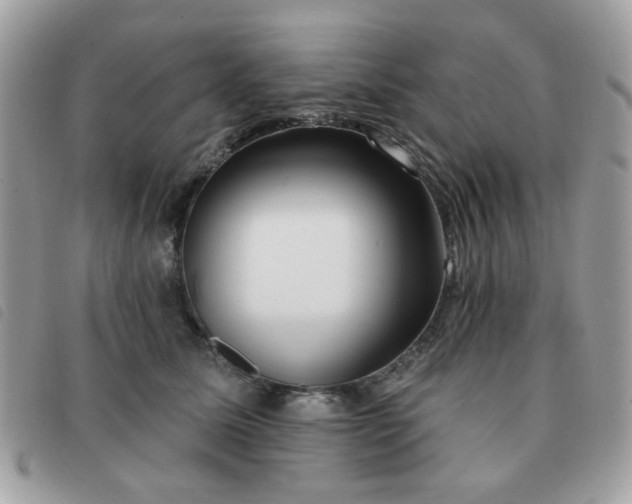 X0000091530611200708171222