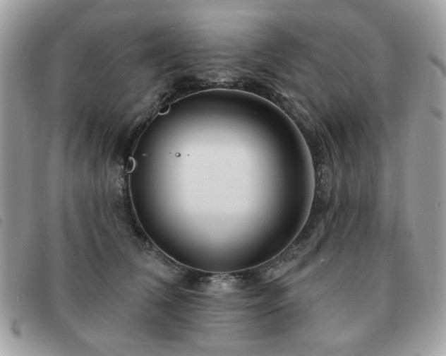 X0000091530612200708171222
