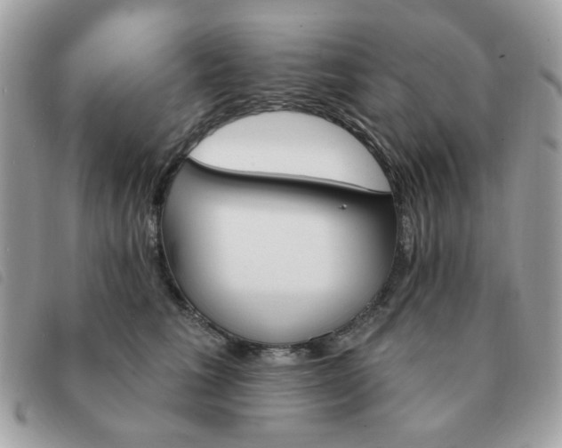 X0000091530613200708171222