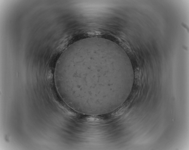 X0000091530614200708171222