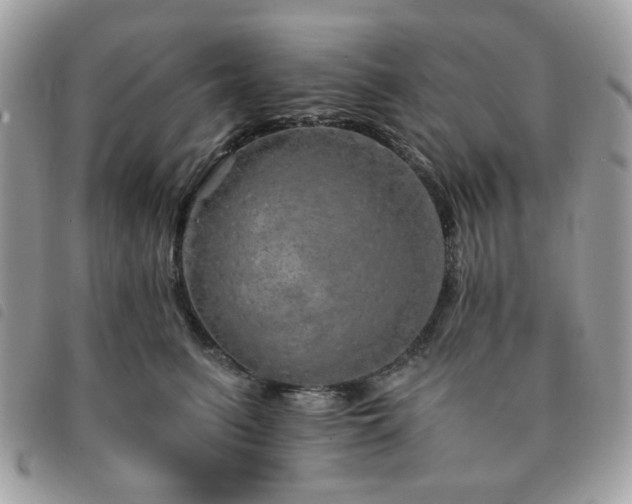 X0000091530615200708171222