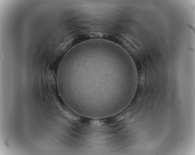 X0000091530616200708171222