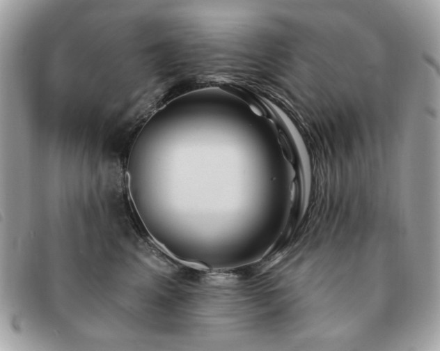 X0000091530617200708171222