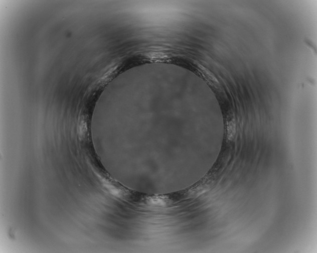X0000091530618200708171222