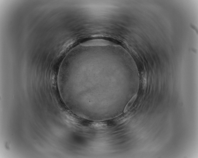 X0000091530619200708171222