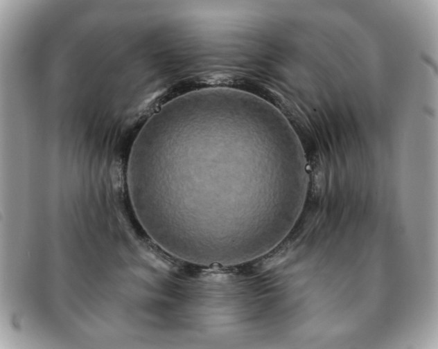X0000091530620200708171222