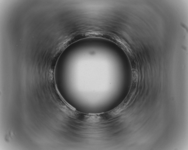 X0000091530621200708171222