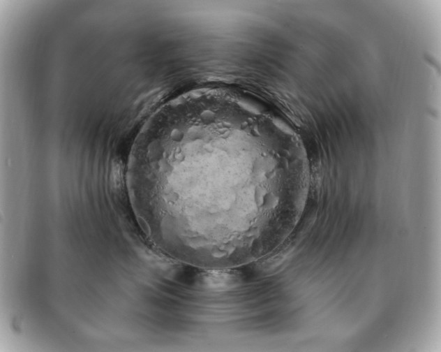 X0000091530623200708171222
