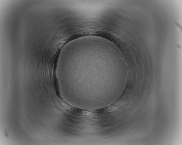 X0000091530624200708171222