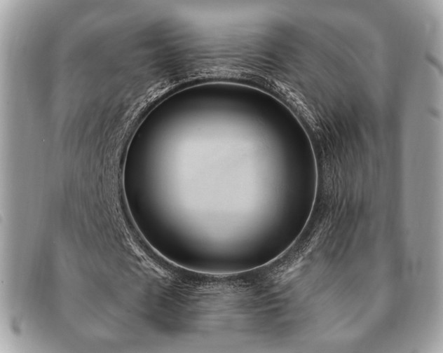 X0000091530625200708171221