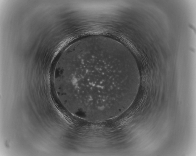 X0000091530626200708171221