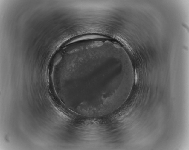 X0000091530627200708171221