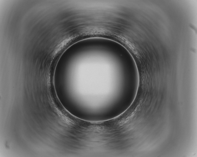 X0000091530629200708171221