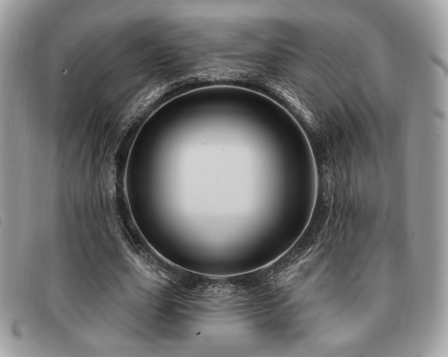X0000091530631200708171221