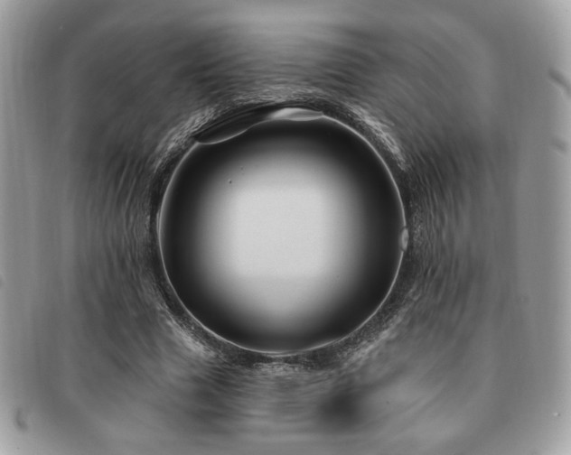 X0000091530633200708171221