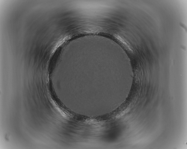 X0000091530634200708171221