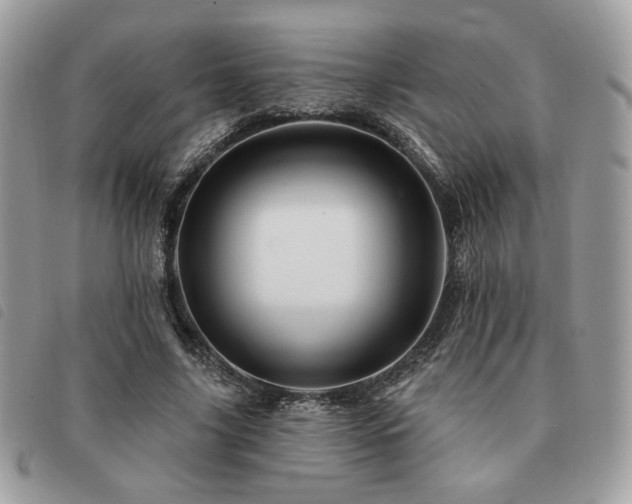 X0000091530635200708171221