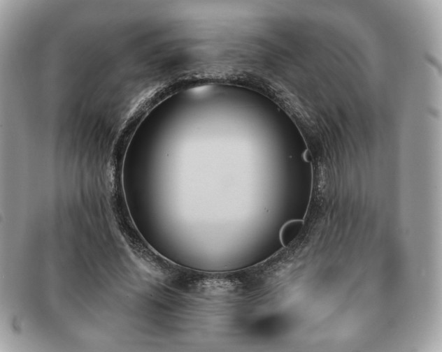 X0000091530636200708171221