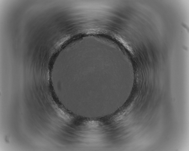 X0000091530637200708171221