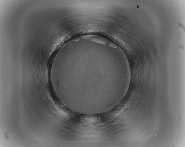 X0000091530638200708171221