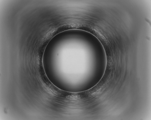 X0000091530639200708171221