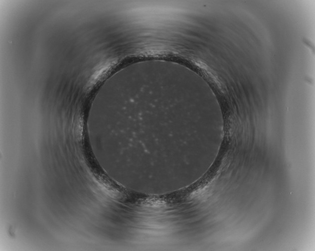 X0000091530640200708171221