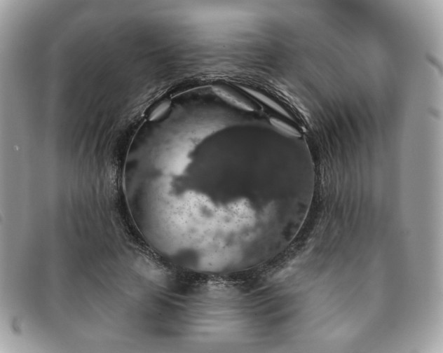 X0000091530641200708171221