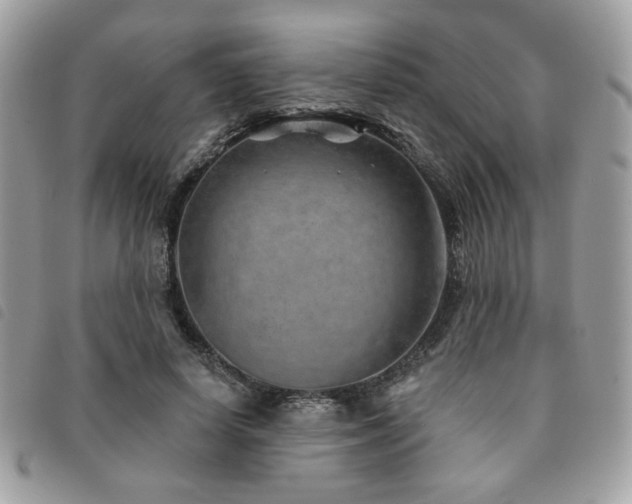 X0000091530642200708171221