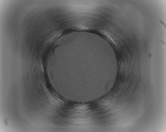 X0000091530643200708171221