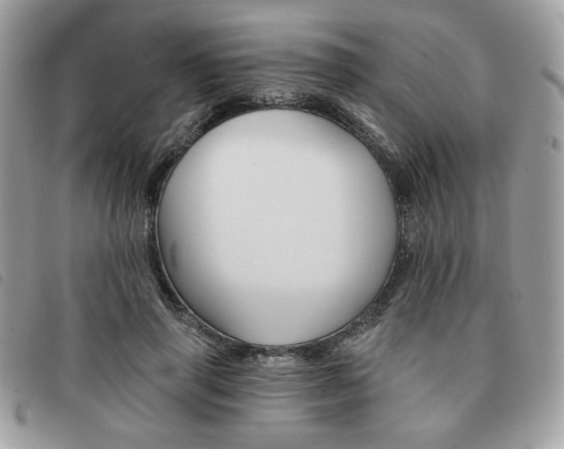X0000091530645200708171221