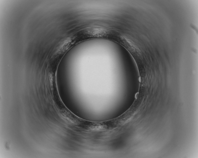 X0000091530646200708171221
