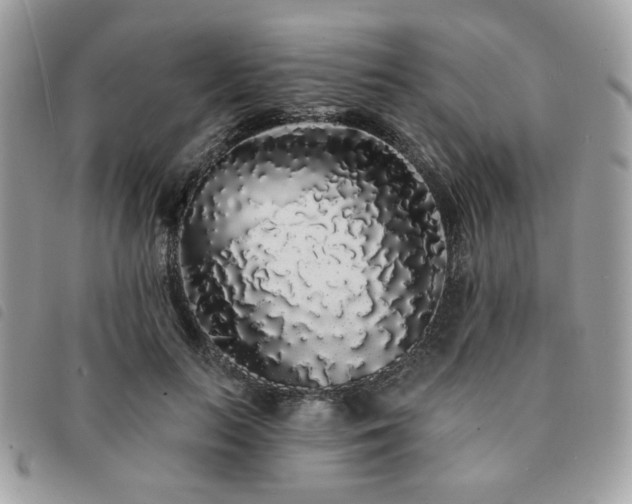 X0000091530647200708171221