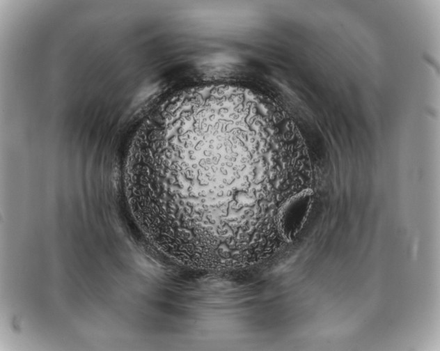 X0000091530648200708171221